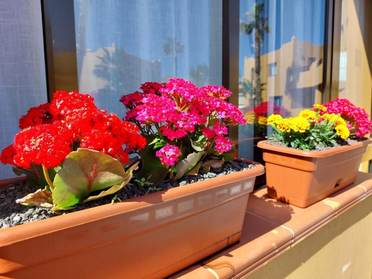 Casa Ledu - Sunny Holiday In Fuerteventura 코라레호 외부 사진